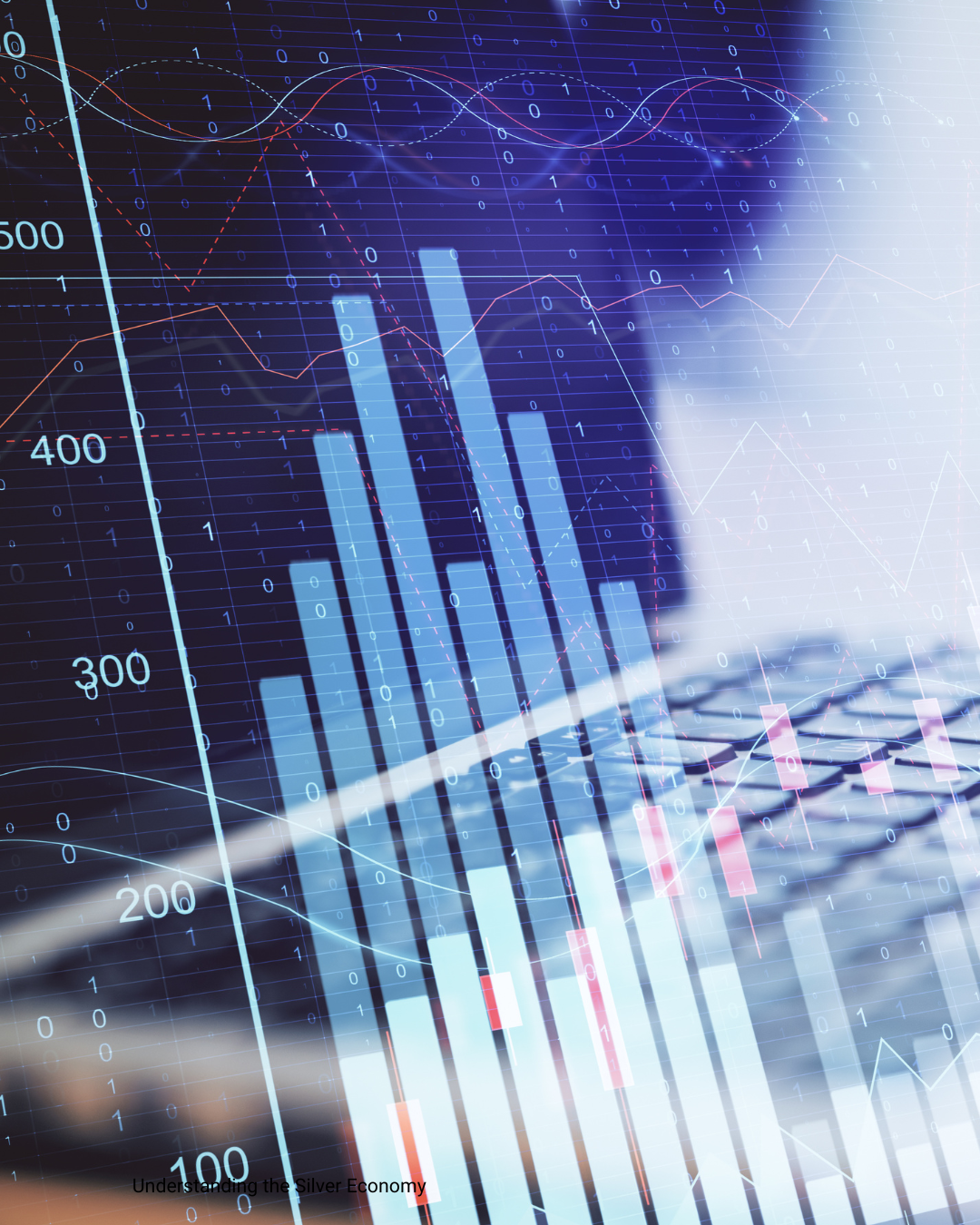 Understanding the Silver Economy